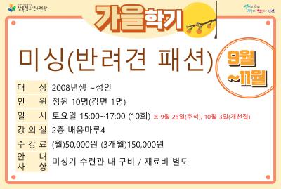 미싱(반려견패션)_가을학기(사회교육) 프로그램 사진 2