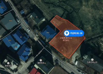 경기도 포천시 일동면 기산리 81-16